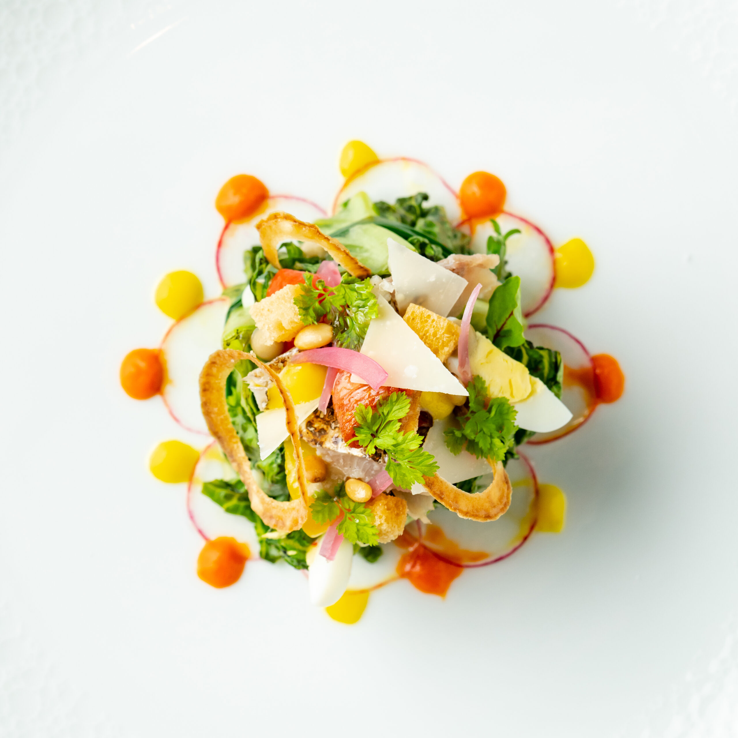 Plated French salad with seasonal vegetables, herbs, and shaved cheese